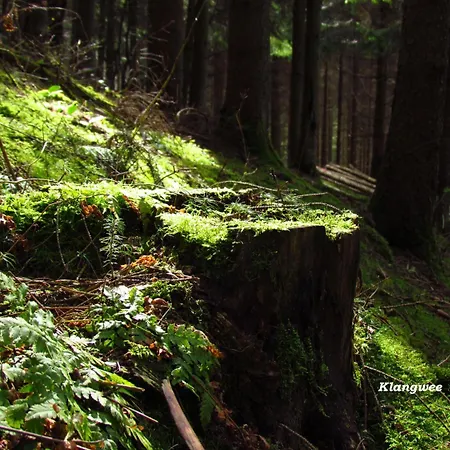 Restaurant Des Ardennes Hotel 3*