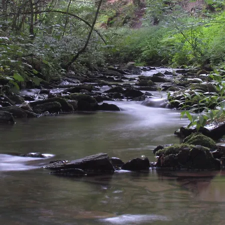Hotel Restaurant Des Ardennes