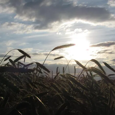 Restaurant Des Ardennes Hotel Hoscheid