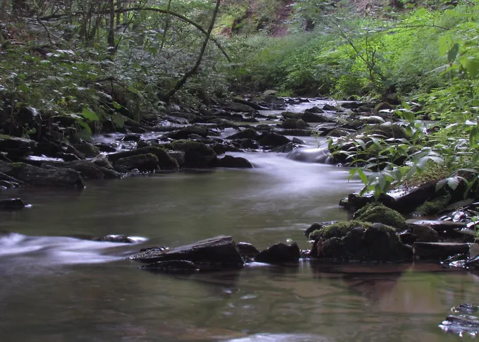 Hotel Restaurant Des Ardennes
