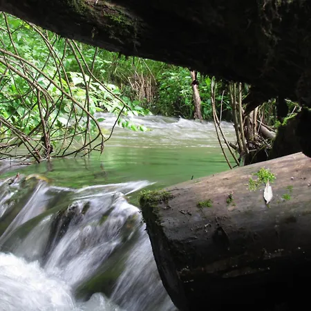 Restaurant Des Ardennes Ξενοδοχείο 3*