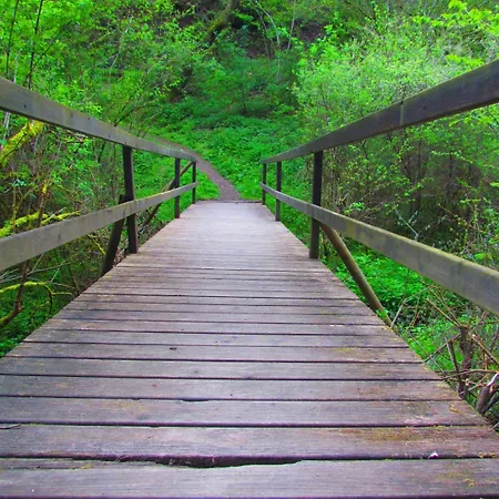 Restaurant Des Ardennes Hoscheid