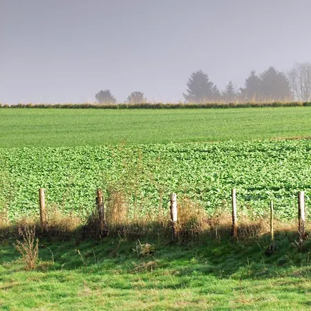 Restaurant Des Ardennes Ξενοδοχείο