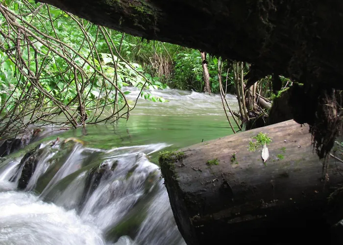 Restaurant Des Ardennes Hotel 3*