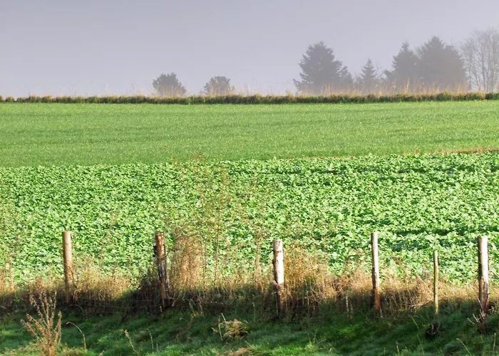 Restaurant Des Ardennes Hotel