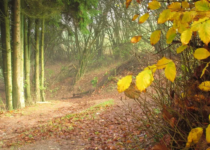 Restaurant Des Ardennes Hotel