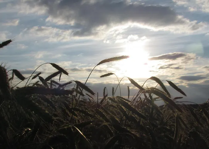 Restaurant Des Ardennes Hotel Hoscheid